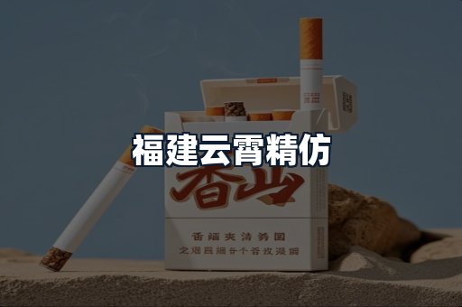 福建云霄精仿